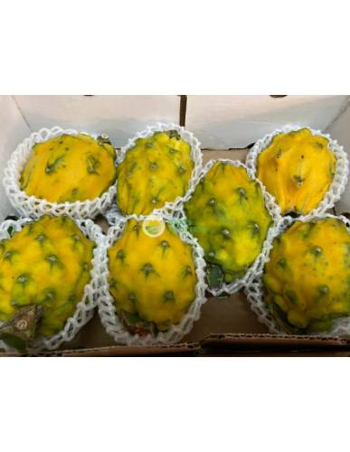 Ecuador Yellow Dragonfruit Pitahaya- Box of 6-9 Pieces