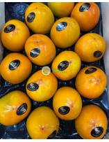 Fruits
