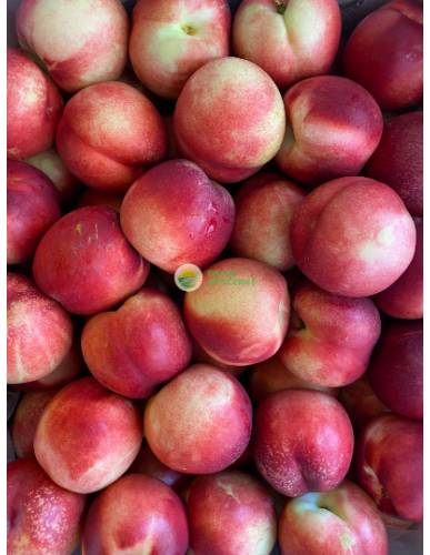 Australia White Nectarines