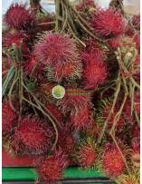 Seasonal Fruits