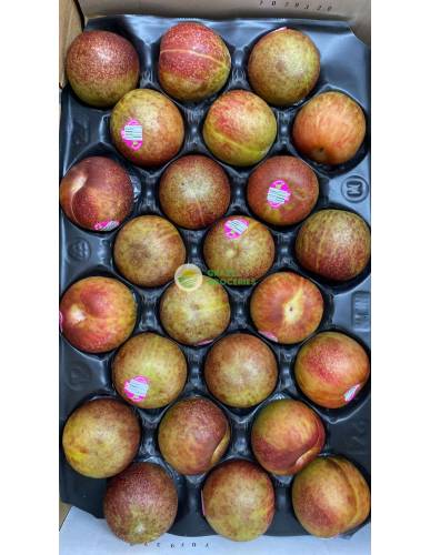 USA Mottled Plumcots
