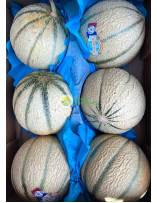 Seasonal Fruits