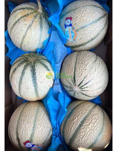 France Charentais Melon
