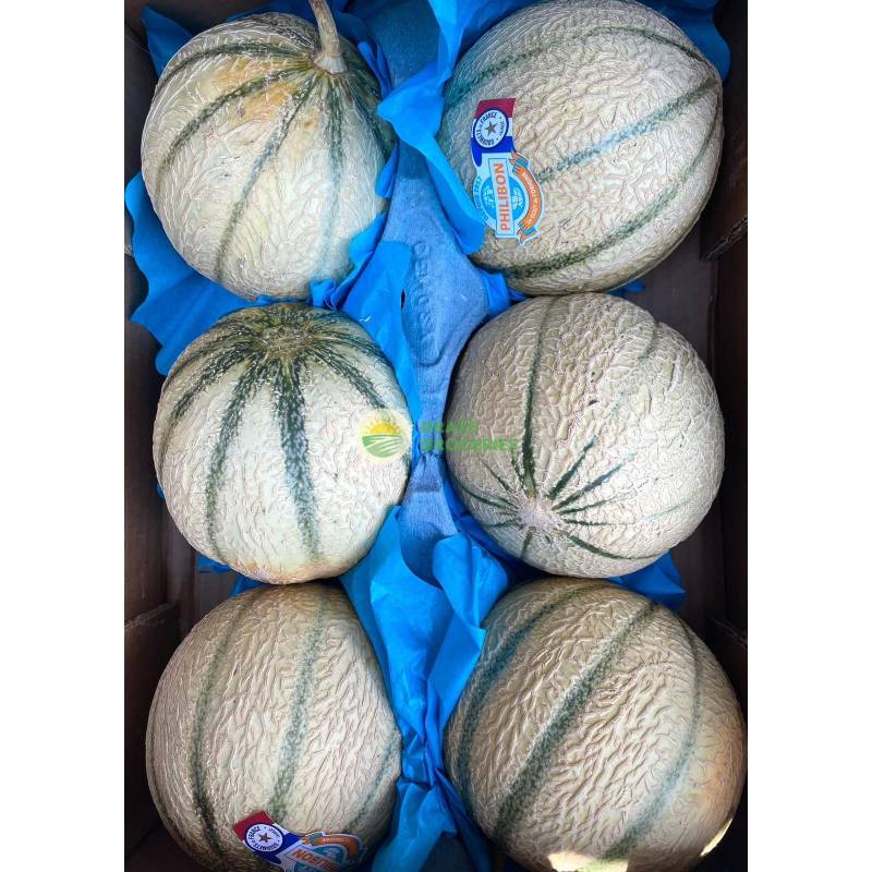 Seasonal Fruits