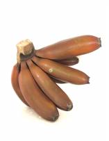 Tropical Fruits