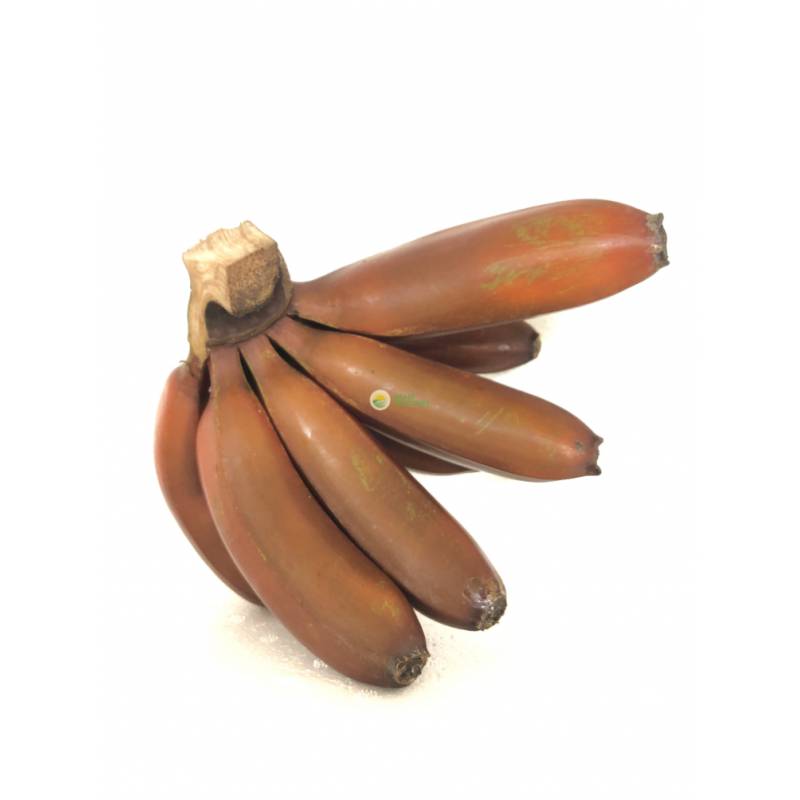 Tropical Fruits