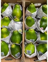 Tropical Fruits