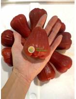 Tropical Fruits