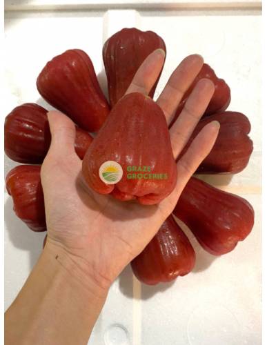 Thailand Rose Apples - Jambu