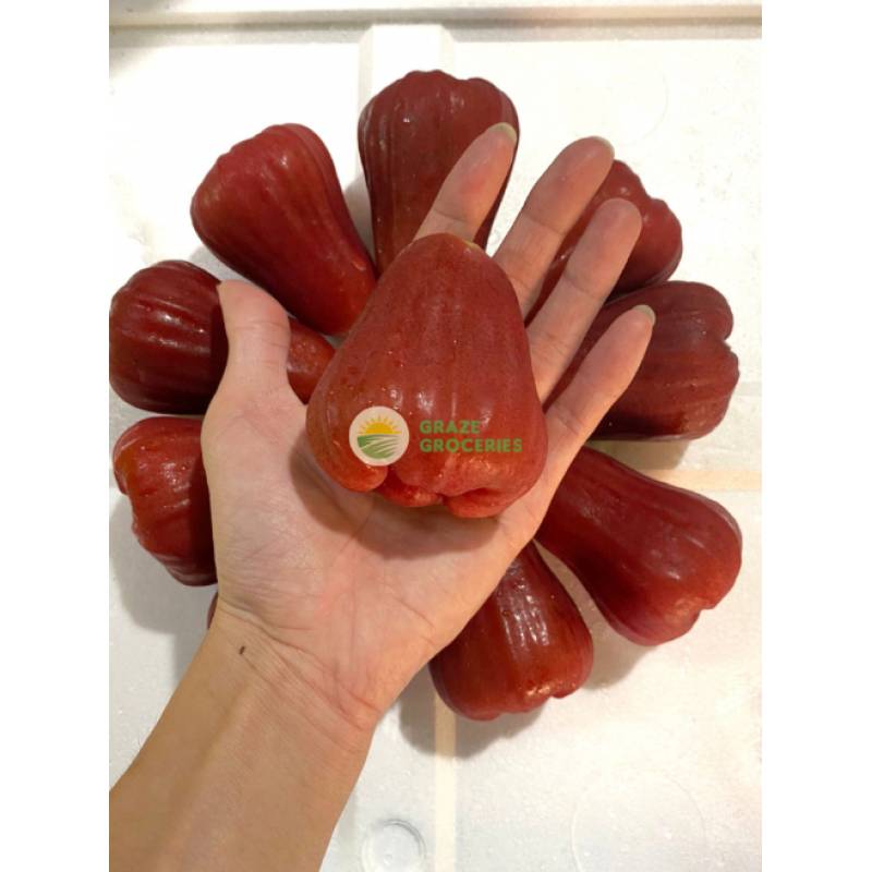 Tropical Fruits