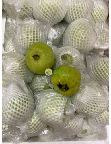 Thailand Guavas