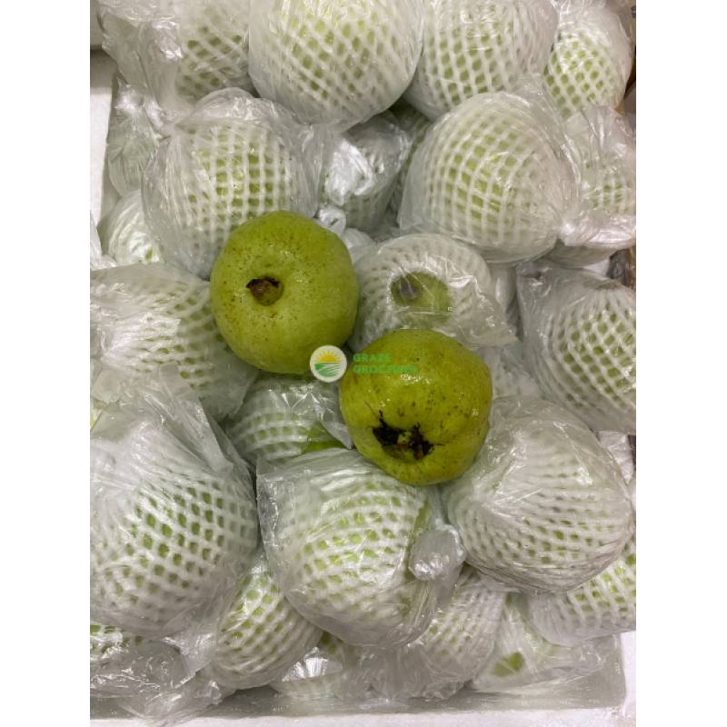 Fruits