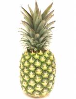 Fruits