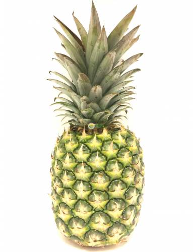 Del Monte Gold Philippines Pineapple