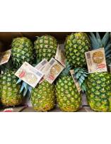 Fruits