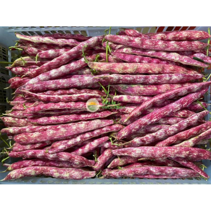 Vegetables
