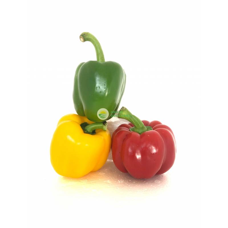 Vegetables
