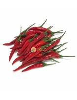 Chilli & Capsicum