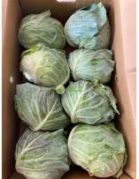 Exotic Vegetables