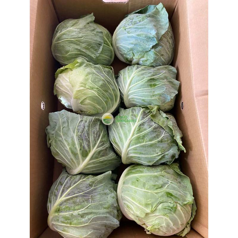 Exotic Vegetables