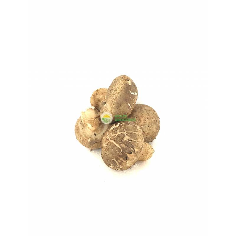 Mushroom