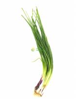 Garnish