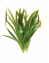 Garnish