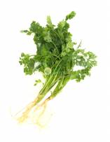 Vegetables