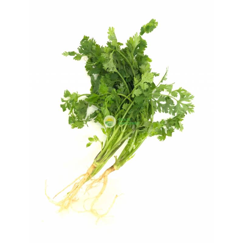 Vegetables