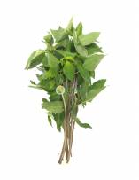 Vegetables