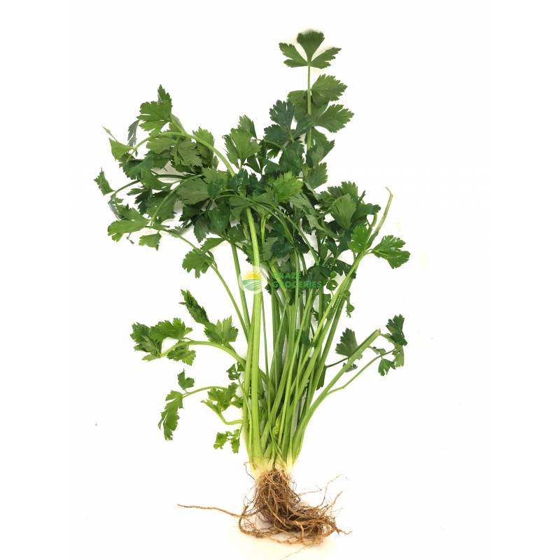 Vegetables