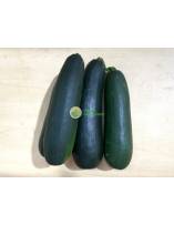 Melons & Gourds