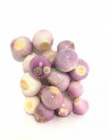 Onion, Garlic & Ginger