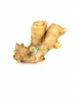 Onion, Garlic & Ginger