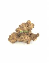 Onion, Garlic & Ginger