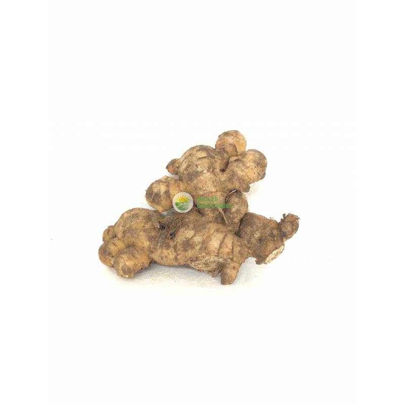 Onion, Garlic & Ginger