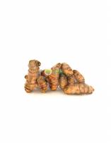 Vegetables