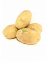 Vegetables