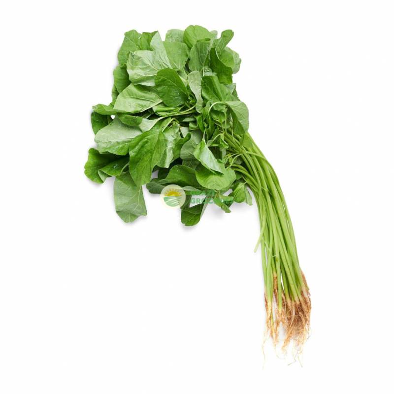 Vegetables