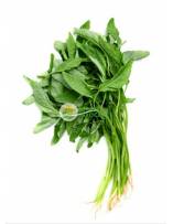 Vegetables
