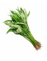 Vegetables