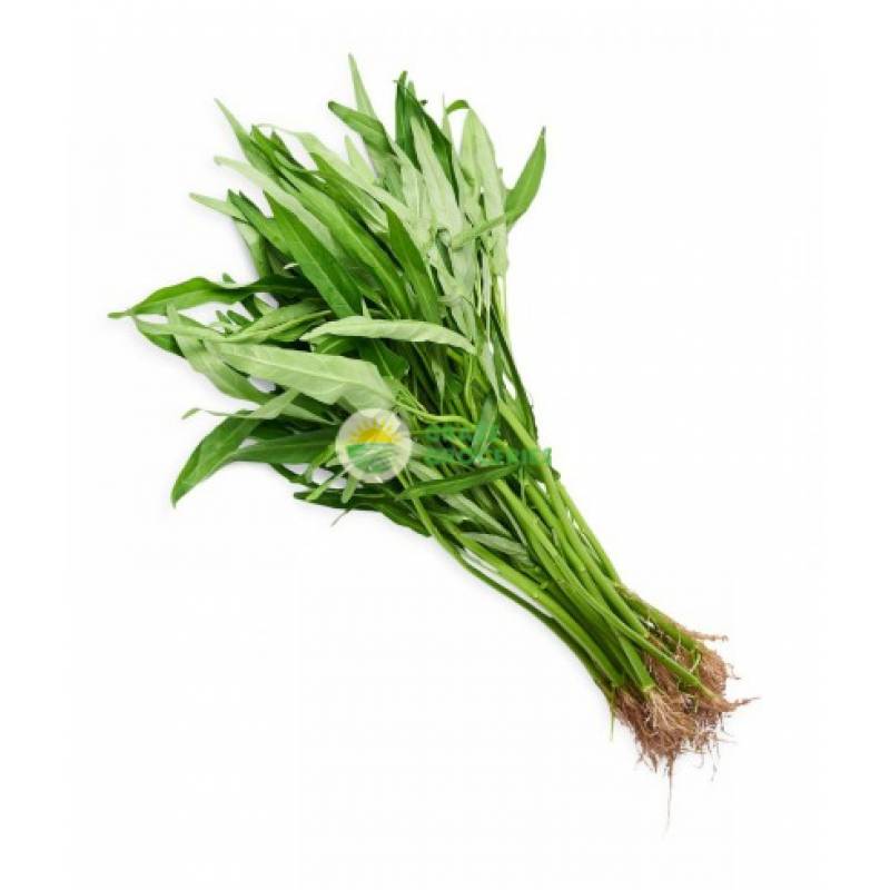 Vegetables