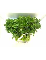 Leafy Vegetables
