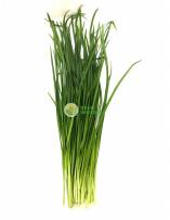 Leafy Vegetables