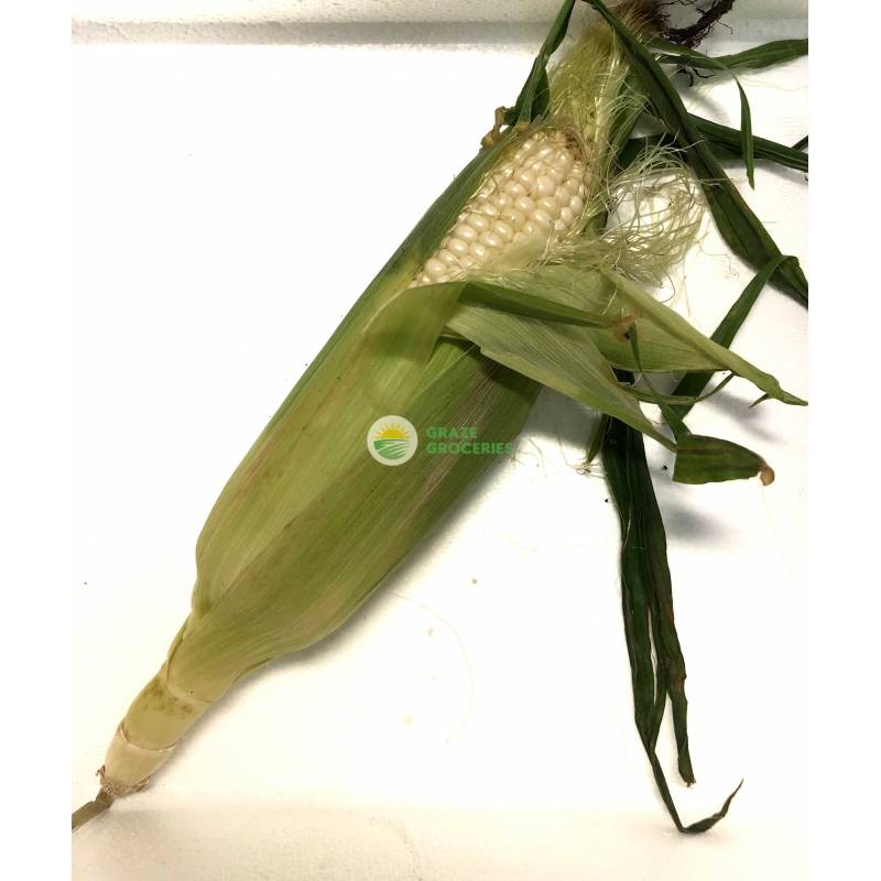 Vegetables